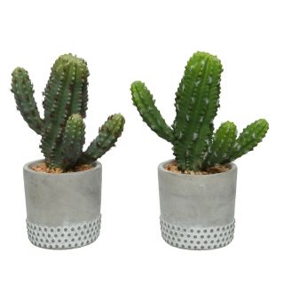 Cacti in a pot 2 designs 13x24cm