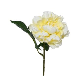Τεχνητό Φυτό Πεόνια Κίτρινη H.36cm