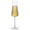 NUDE STEM ZERO CHAMPAGNE SET2 300CC H:26 P/288 GB2.OB12.